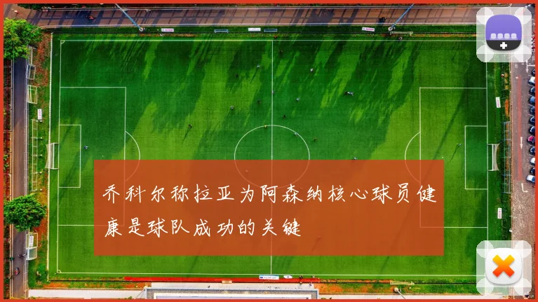 乔科尔称拉亚为阿森纳核心球员健康是球队成功的关键